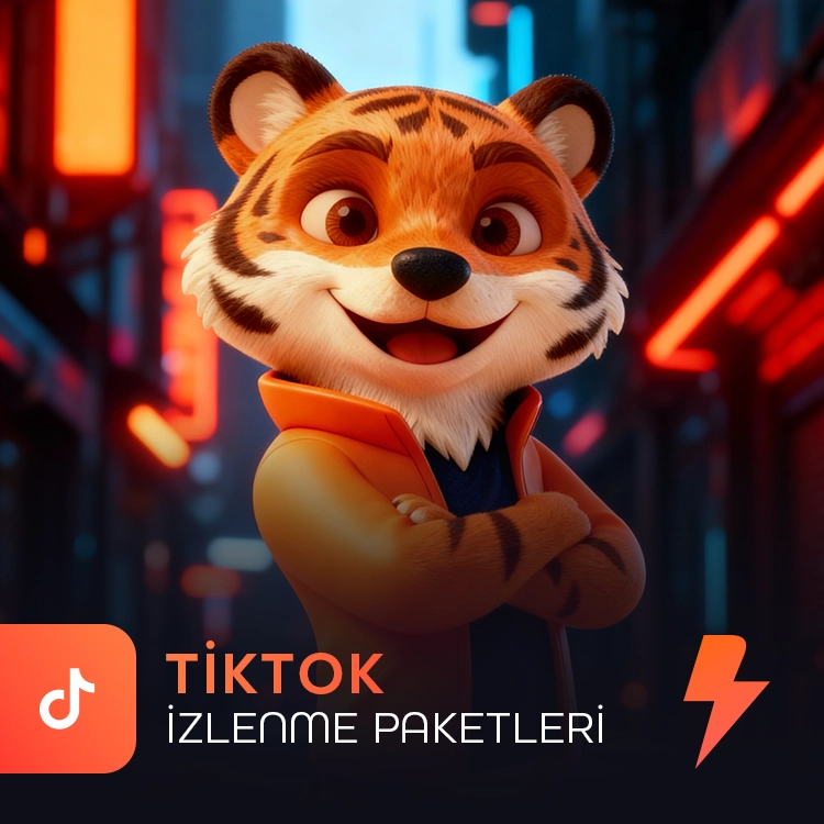 TikTok İzlenme Satın Al